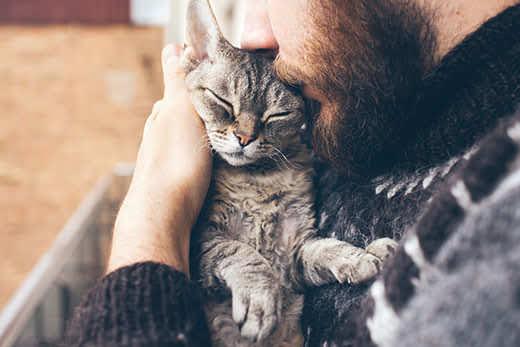 Uomo con la barba che coccola un gatto vicino a viso.