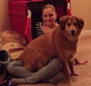 brown-dog-sitting-on-ladys-lap Brown dog sits on a lady's lap sitting on the floor.