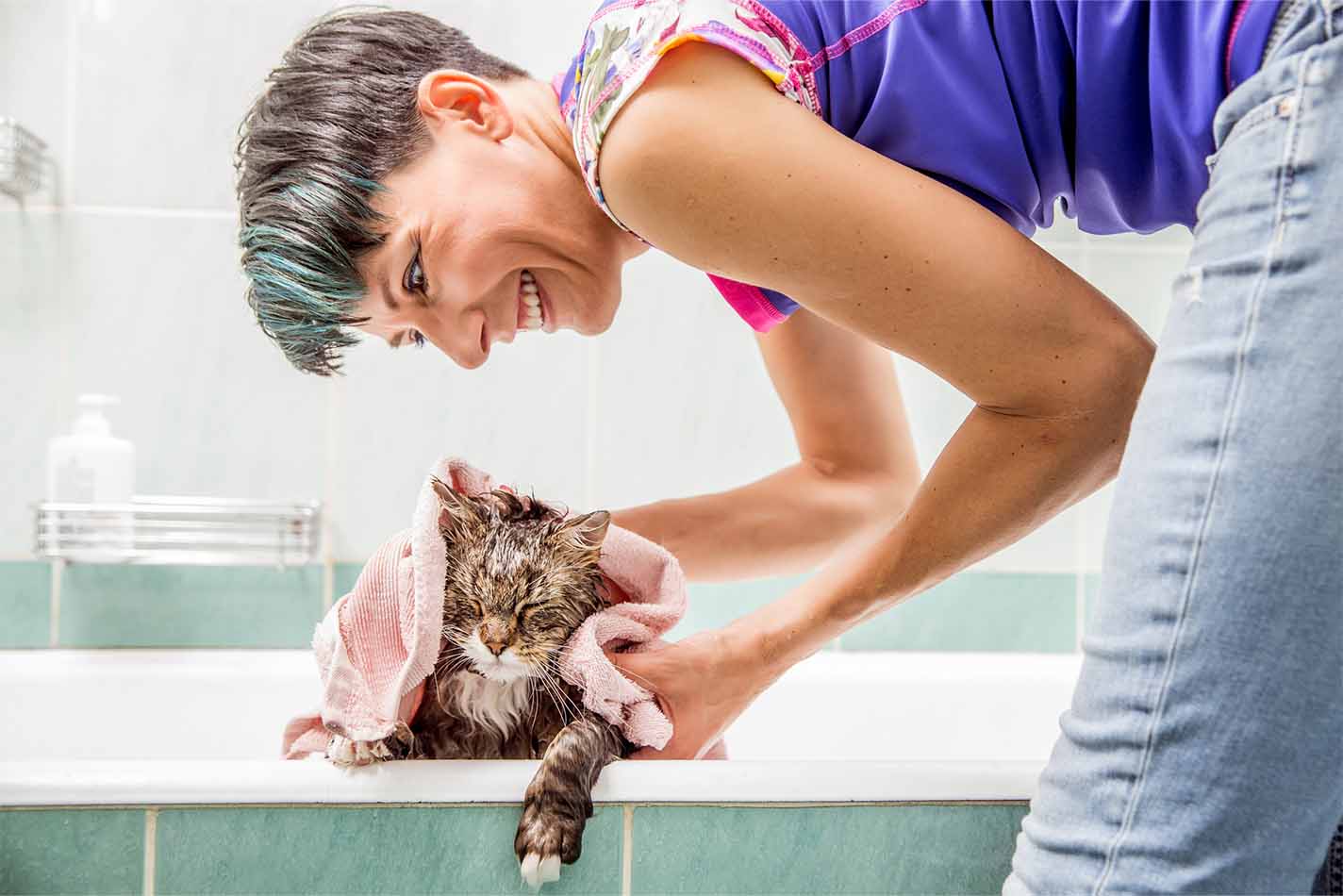 Gatto scavalca il bordo della vasca da bagno mentre una donna lo asciuga con un asciugamano Gatto scavalca il bordo della vasca da bagno mentre una donna lo asciuga con un asciugamano