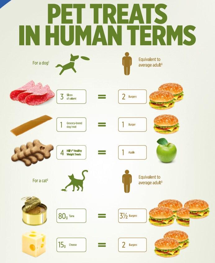 Traduttore degli snack Traduttore degli snack