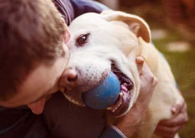Uomo e cane Un uomo abbraccia un labrador miele con una pallina blu in bocca.