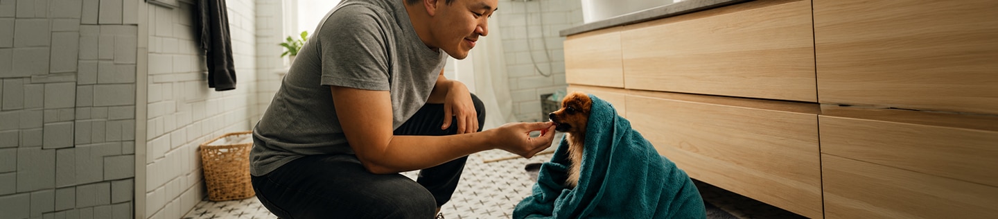 Uomo accovacciato tende la mano verso un cane di razza toy avvolto in un asciugamano blu