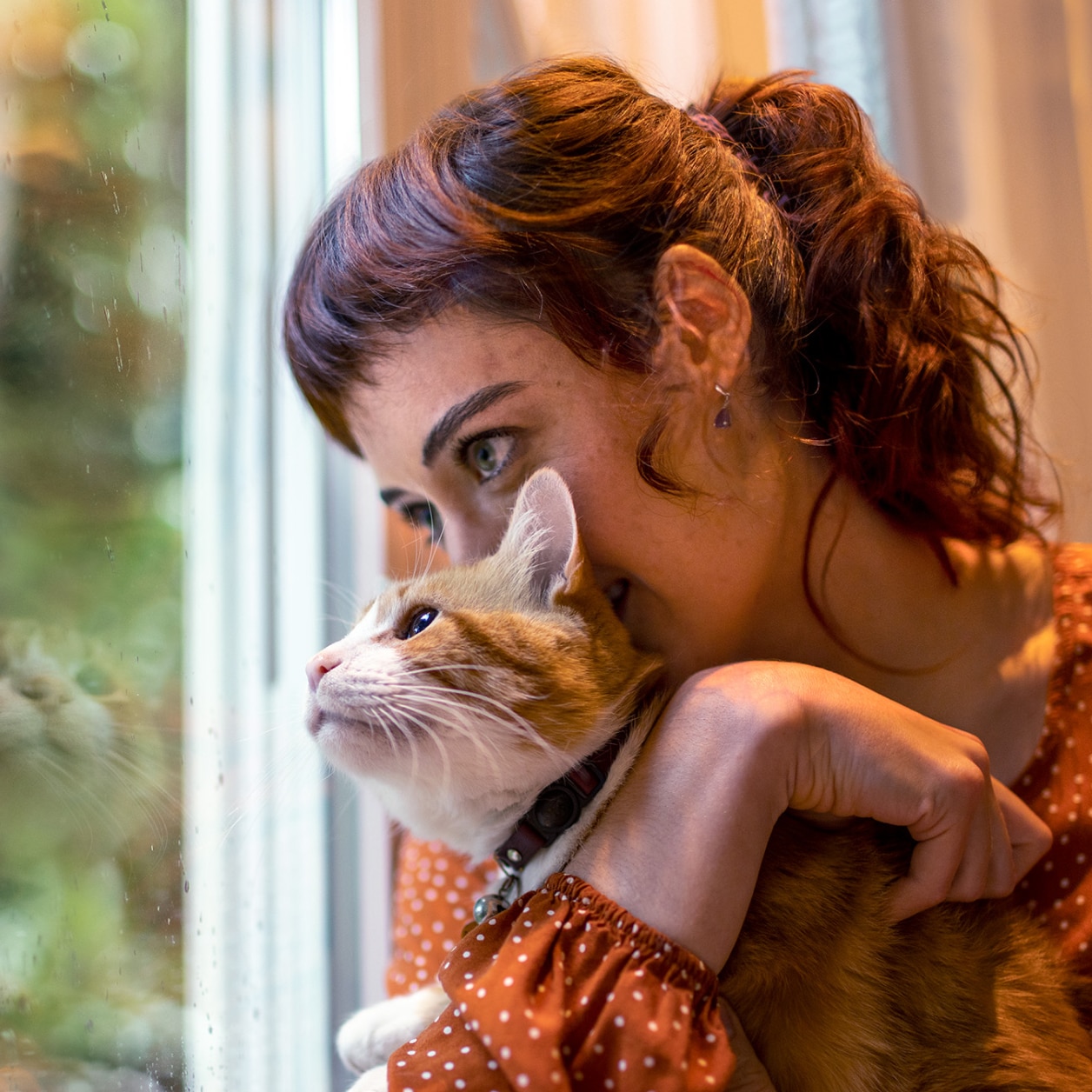 gatto che guarda fuori dalla finestra con la sua proprietaria