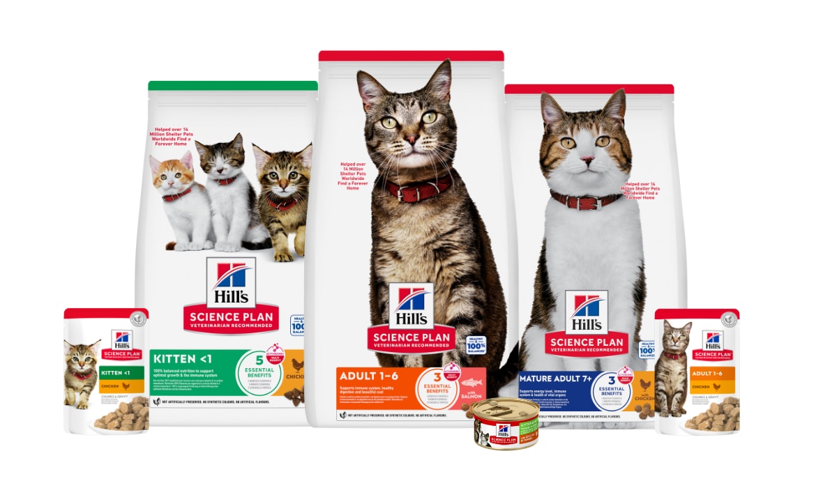 Selection of Science plan cat diets in bags, cans and pouches