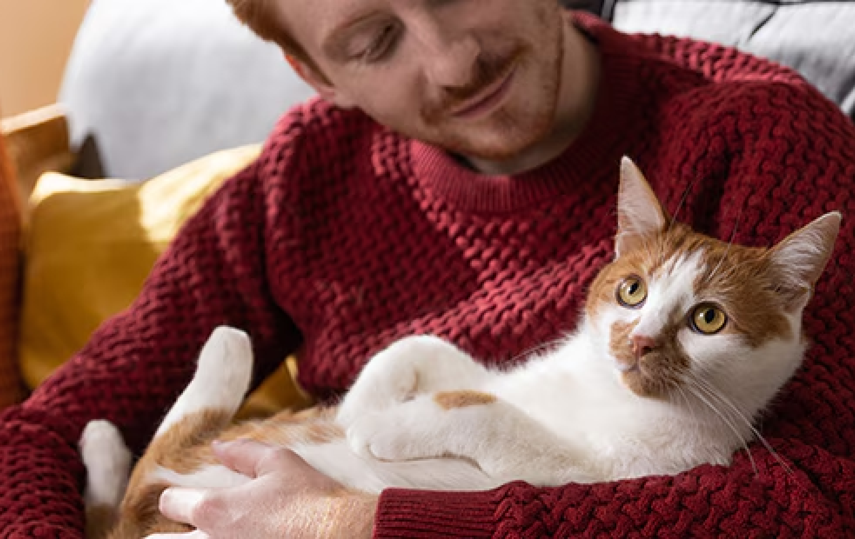 A man with a cat in his arms