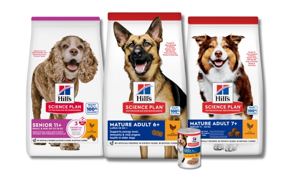 Hill's Science Plan Gamma di alimenti per diverse taglie di cani