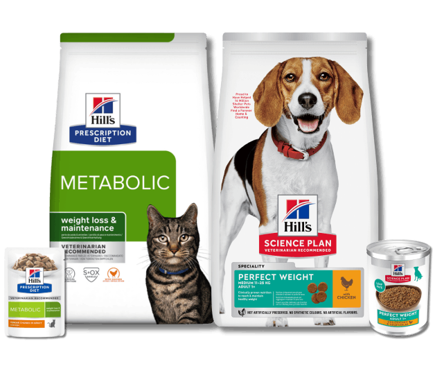 Alimenti secchi e umidi per gatti adulti Metabolic e Perfect Weight