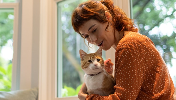 Un gatto bianco e marrone seduto in grembo a una donna