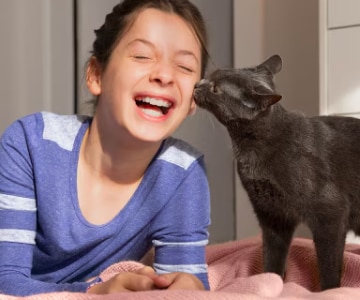 Gatto nero lecca il viso di una bambina