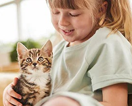 Bimba con gattino felice