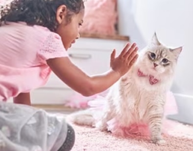 una bambina gioca con un gattino