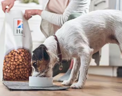 un cane mangia da una ciotola con cibo per cani Hill’s