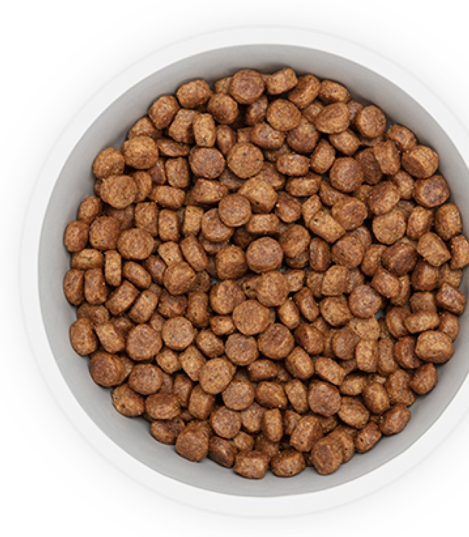 Alimento per cane