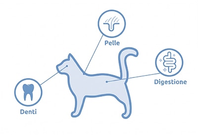 localizzazione del microbioma di un gatto