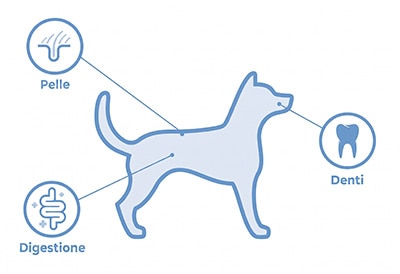 localizzazione del microbioma di un cane