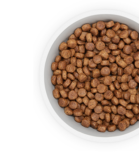 Alimento per cane
