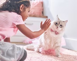 una bambina gioca con un gattino