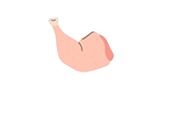 Pollo