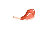 Agnello