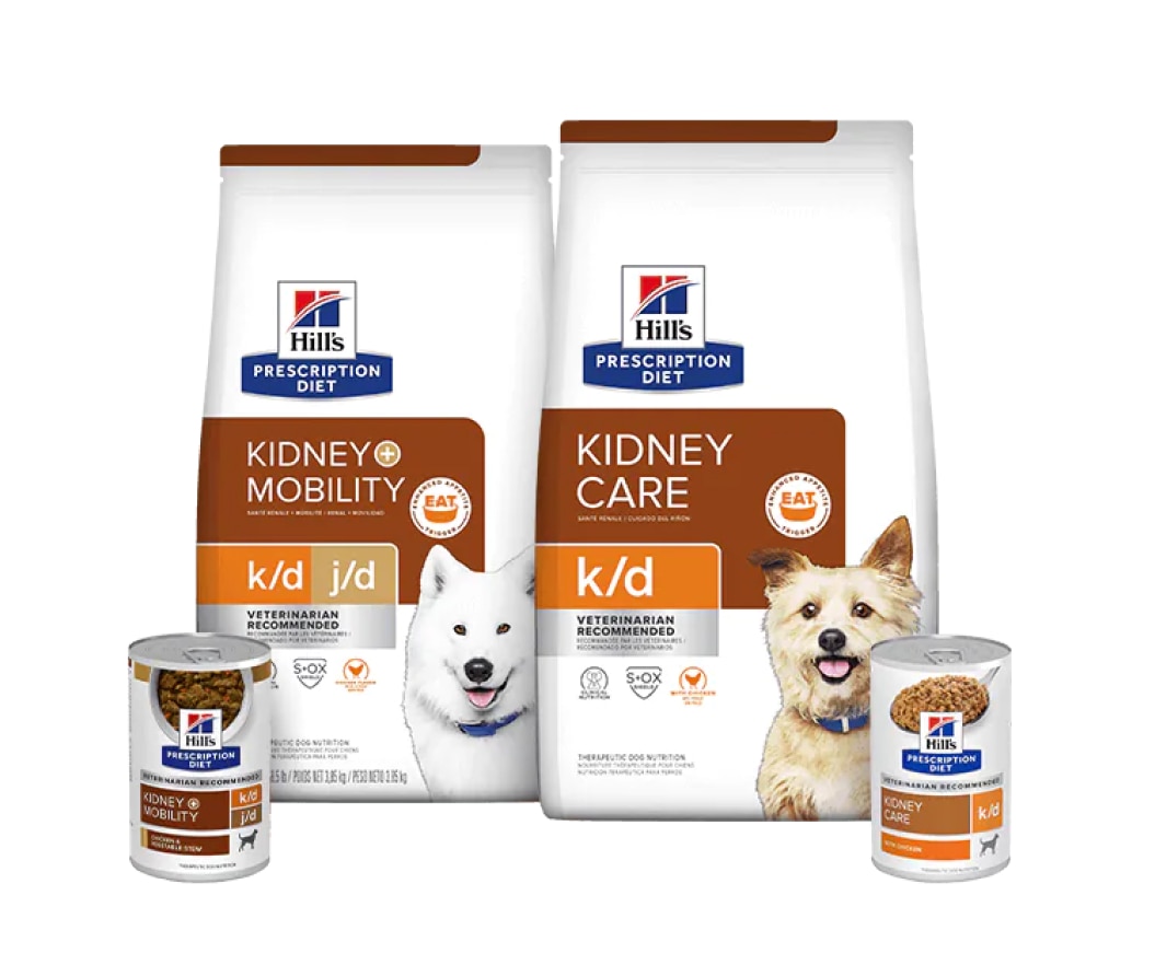Alimenti per la funzionalità renale per cani