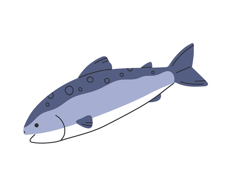 Salmone come ingrediente degli alimenti per animali Hill's Pet