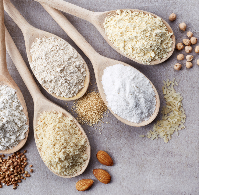 Cereali in polvere in cucchiai come ingredienti degli alimenti per animali HIll's Pet