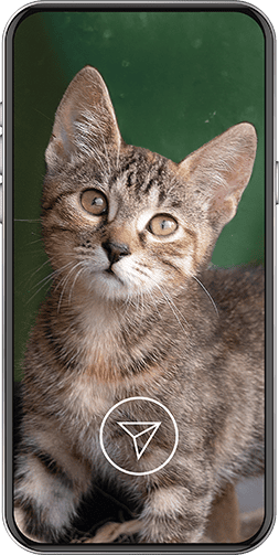 Unisciti a #MissioneAmiciPerSempre